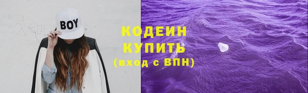 дурь Заводоуковск