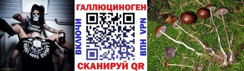 Галлюциногенные грибы мицелий Купить закладки Вяземский